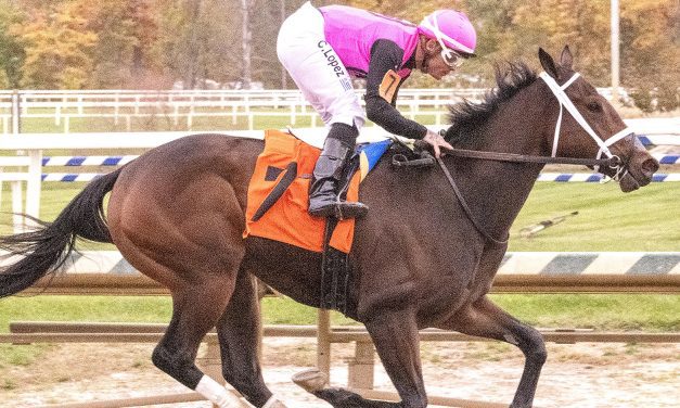 Mid-Atlantic Three Stars: October 28