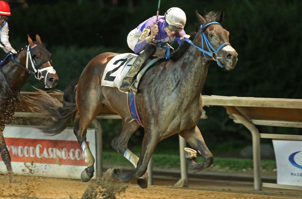 CT: Septarian off to speedy start