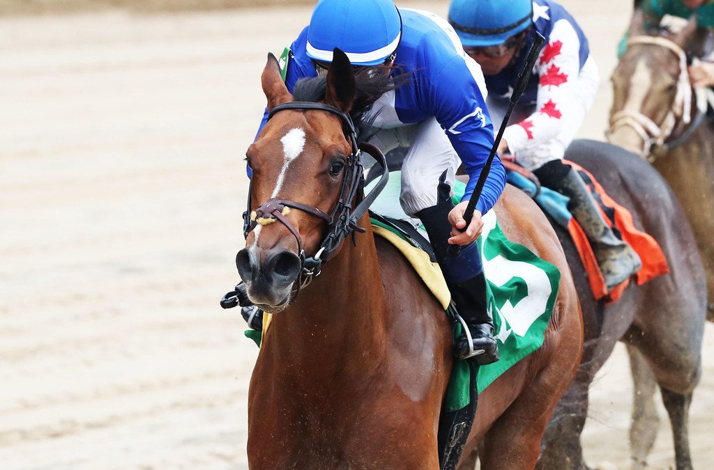 Lucky Jeremy seeks third stakes win in City of Laurel