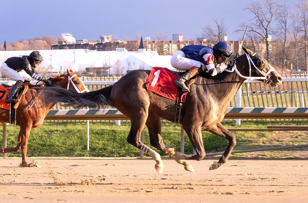 Mid-Atlantic Three Stars: December 2