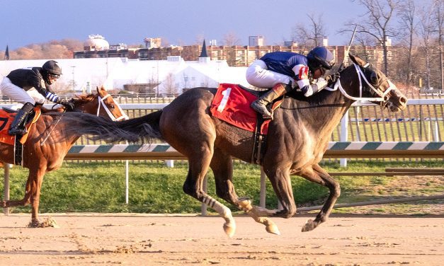 Mid-Atlantic Three Stars: December 2