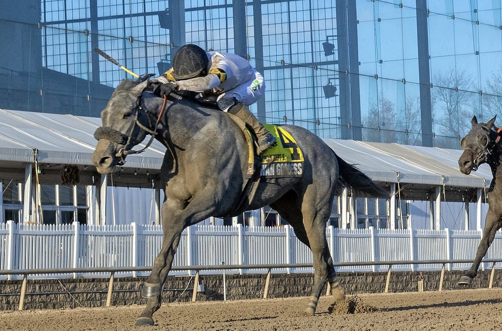 Laurel: What we learned in the Safely Kept, City of Laurel