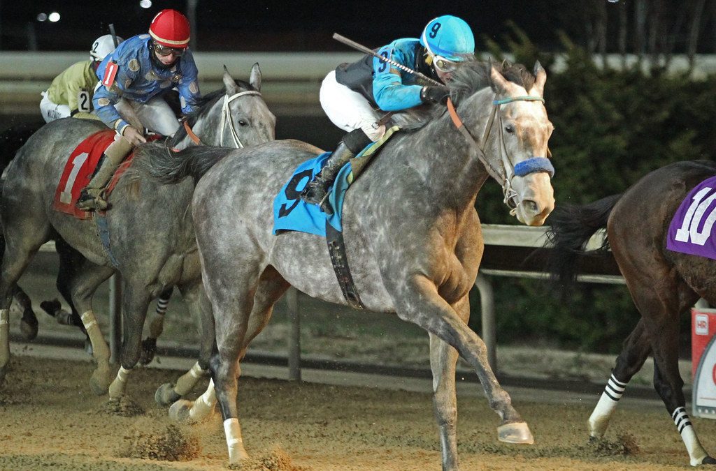 CT: Competitive group set for Confucius Say