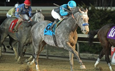 CT: Competitive group set for Confucius Say