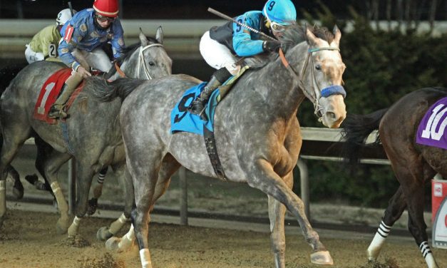 Muad’dib celebrates million-dollar mark with win