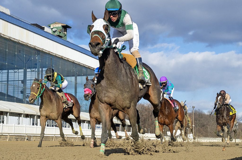 Laurel: Spencerian tepid favorite in Conniver