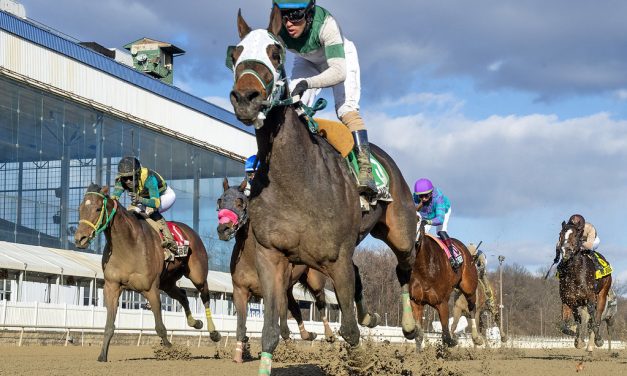 Spencerian gets first stakes win in Politely