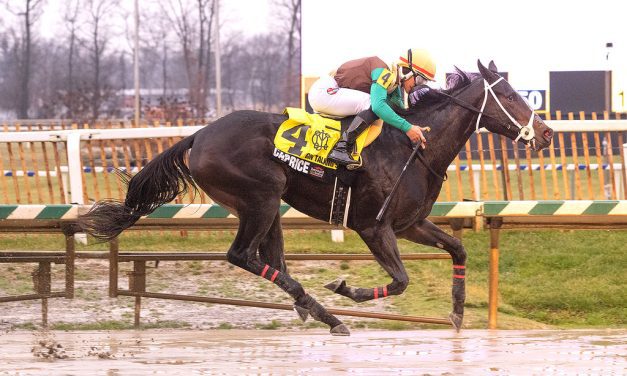 Caprice to head of the class with Gin Talking win