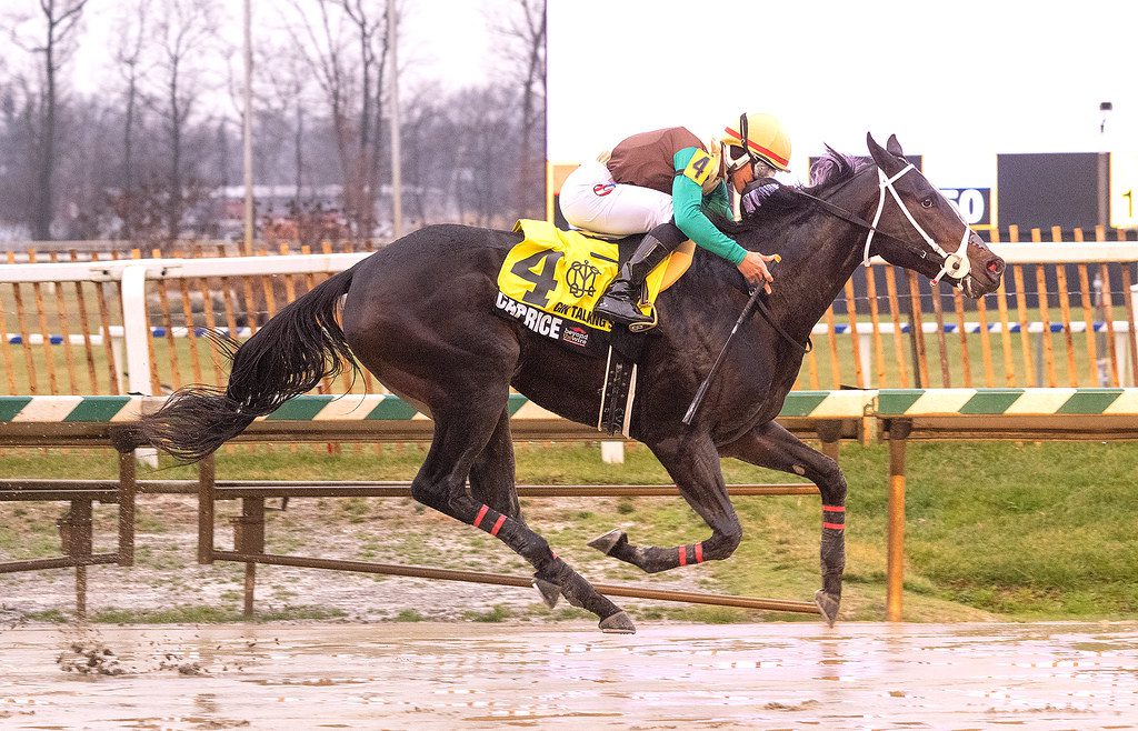 Caprice to head of the class with Gin Talking win