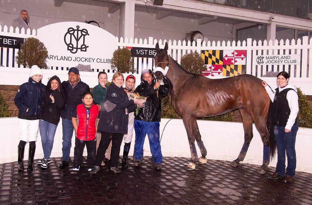 Clubman, 10, retired after 20th victory