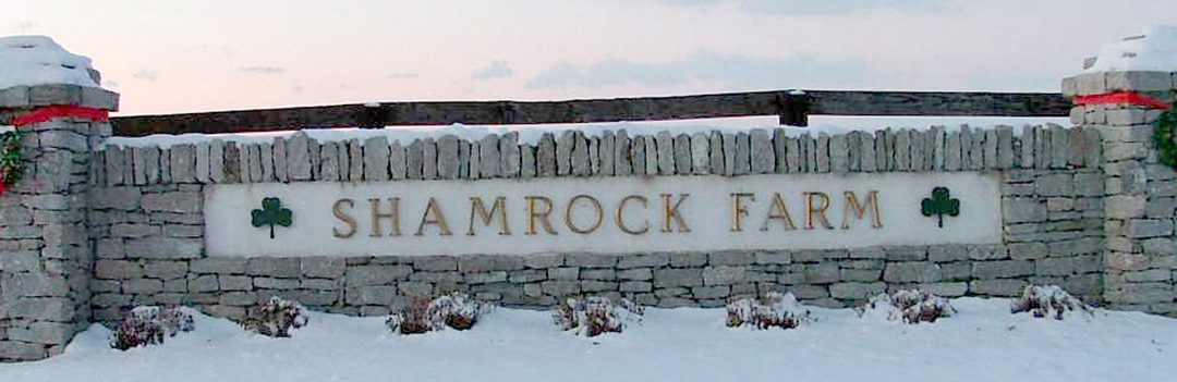 Shamrock Farm chosen as new Maryland training center