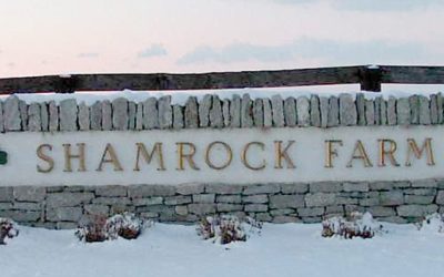 Shamrock Farm chosen as new Maryland training center