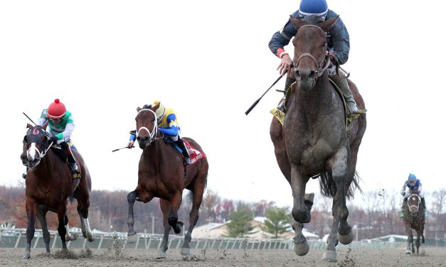 Triple Crown nominees headline Miracle Wood