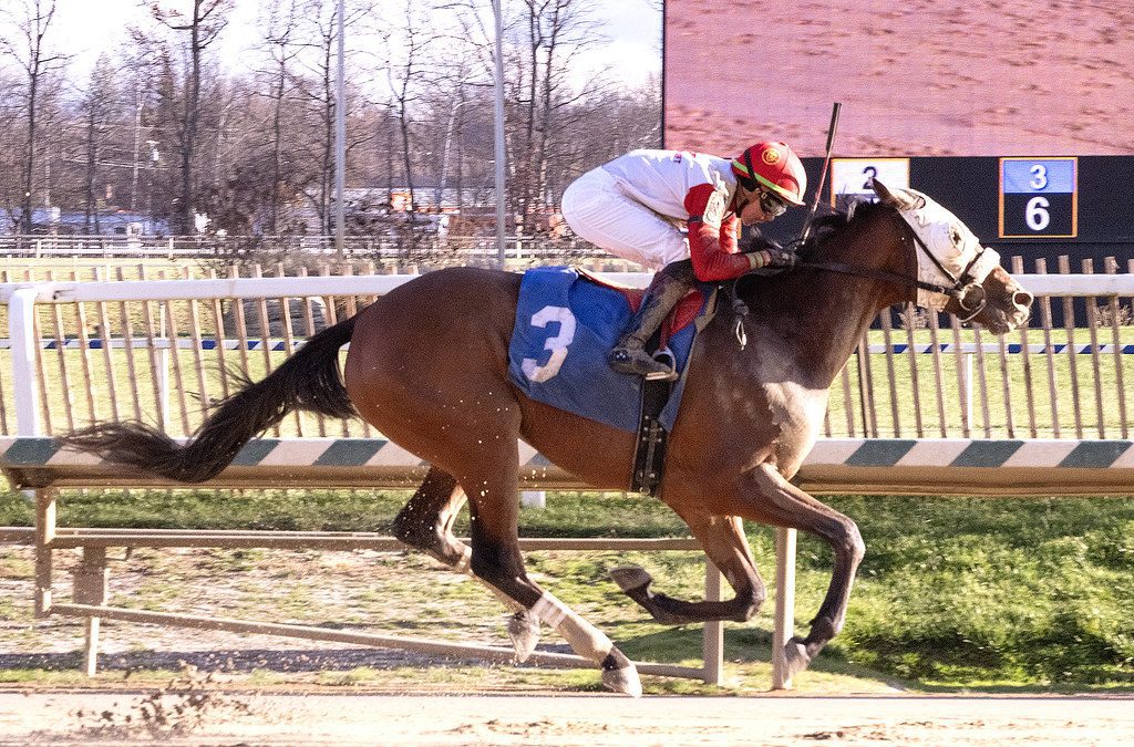 Contentious group set for first Delaware Derby