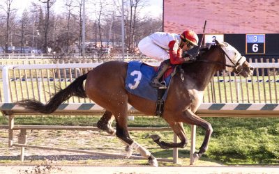 Contentious group set for first Delaware Derby