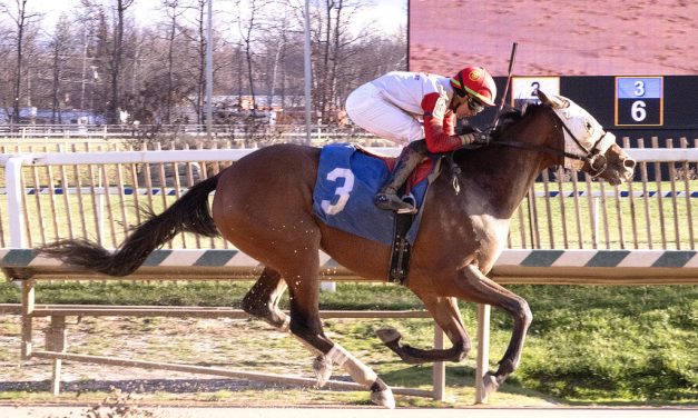 Virginia Derby field taking shape