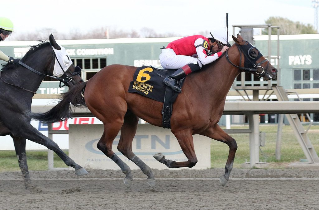 Spikezone named HBPA Claiming Horse of the Year