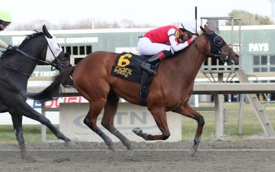 Spikezone named HBPA Claiming Horse of the Year