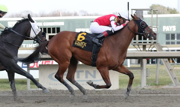 Spikezone named HBPA Claiming Horse of the Year