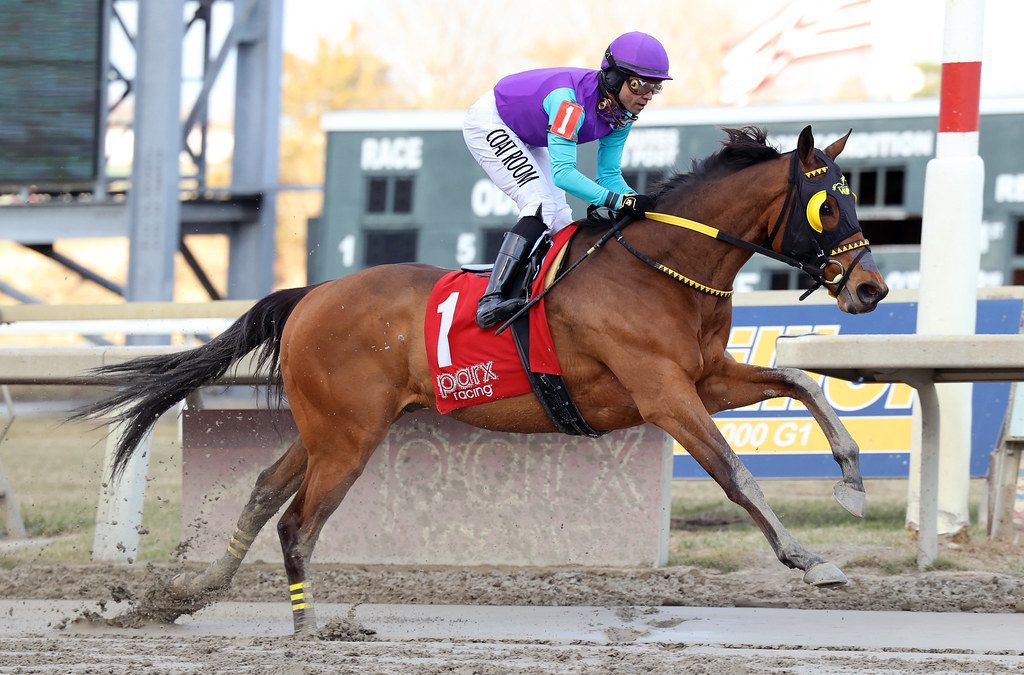 Christmas-themed stakes close Parx Racing year