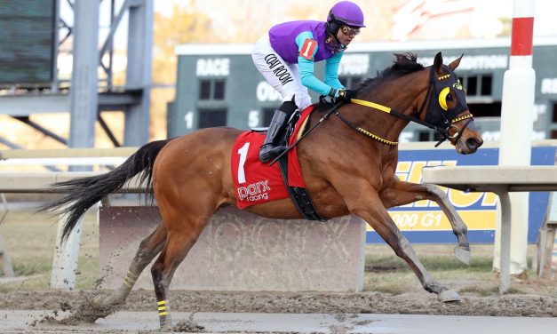 Christmas-themed stakes close Parx Racing year