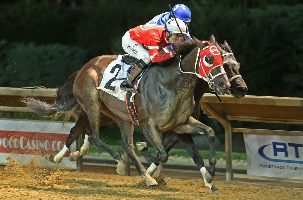 Consistent Full Moon Lover outrunning expectations