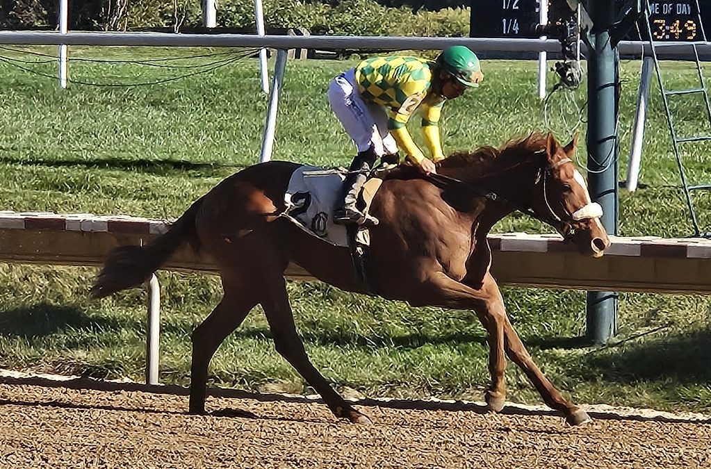 Md-bred Beautiful Blome takes shot at Busanda