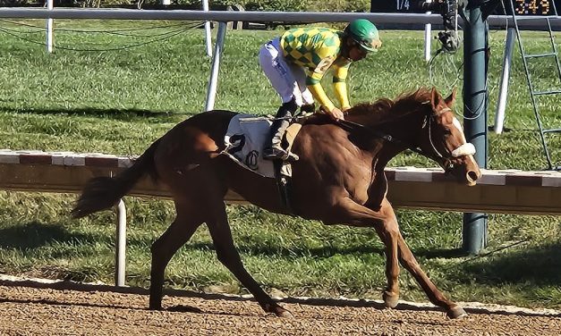 Md-bred Beautiful Blome takes shot at Busanda