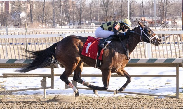 In My Memories kicks off Laurel meet with upset win