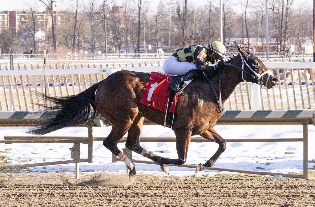 In My Memories kicks off Laurel meet with upset win