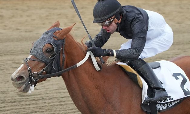 Call Another Play bounces back to win Geisha