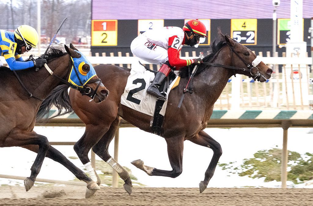 Chipotle too hot in Laurel allowance