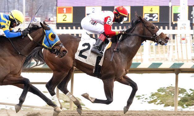 Chipotle too hot in Laurel allowance
