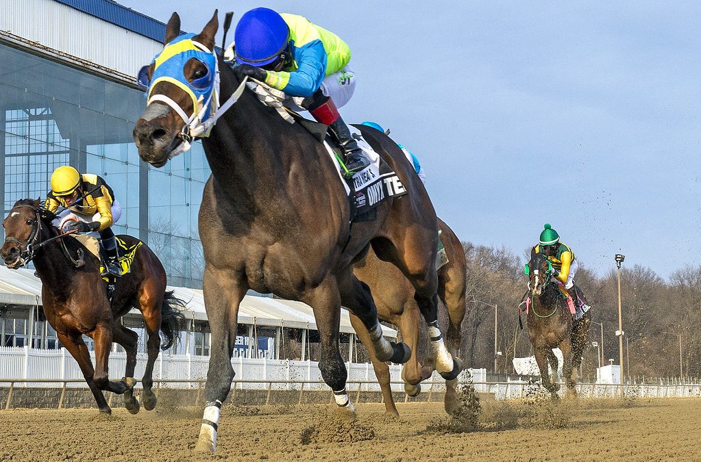 Onyx Ten seeks to double up in Wide Country