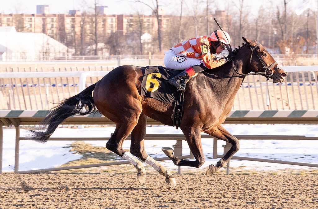 Wild Vine posts Laurel feature upset