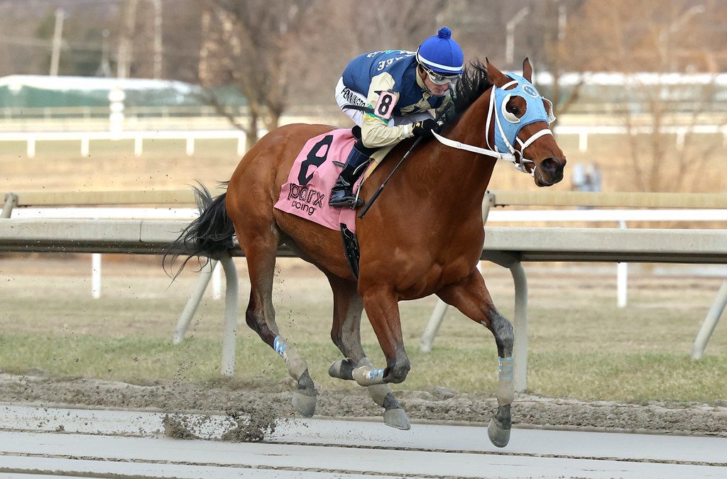 Irish Maxima tackles Fritchie in career-best form