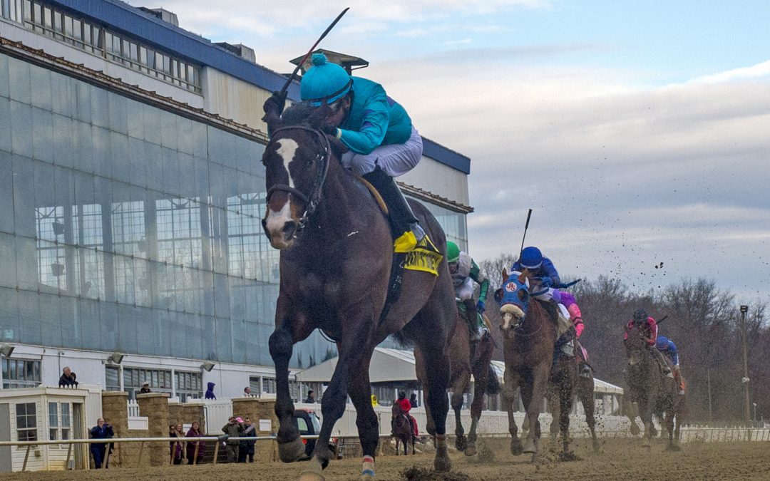 Trio of local stakes winners to hook up in General George