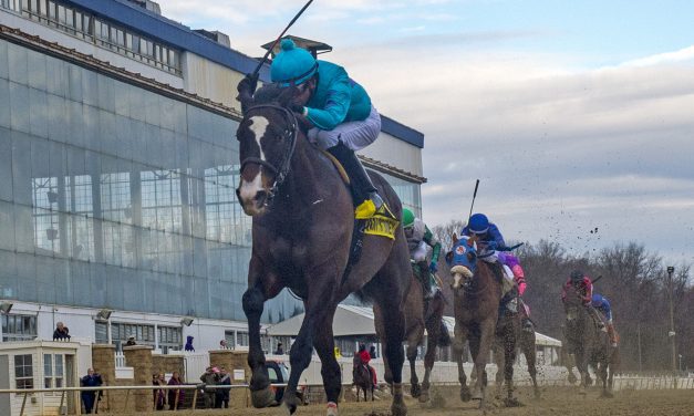 Mid-Atlantic Three Stars: January 20