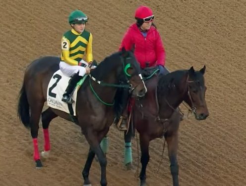 Wisconsin Gal takes curious route to Xtra Heat — maybe