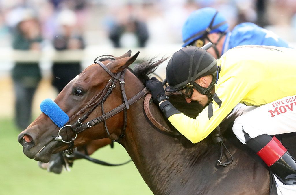 Catching up with Trevor McCarthy