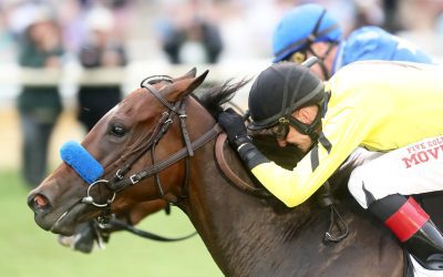 Catching up with Trevor McCarthy