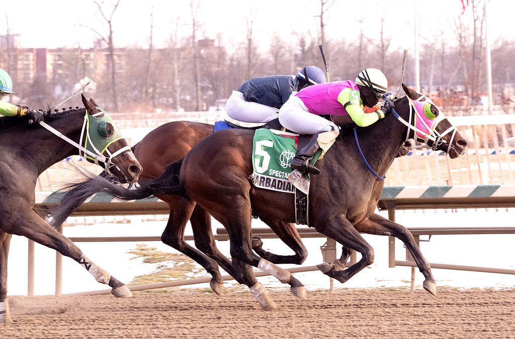 Barbadian Runner could add “cherry on top” in Miracle Wood