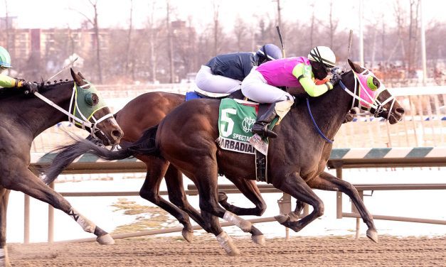 Barbadian Runner could add “cherry on top” in Miracle Wood