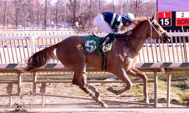 Laurel: Sharp debut win for Complexity Jane