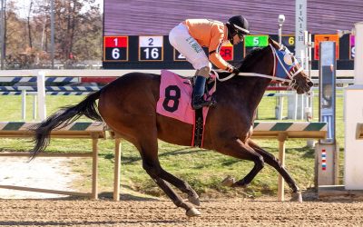 Inglis Digital February sale underway