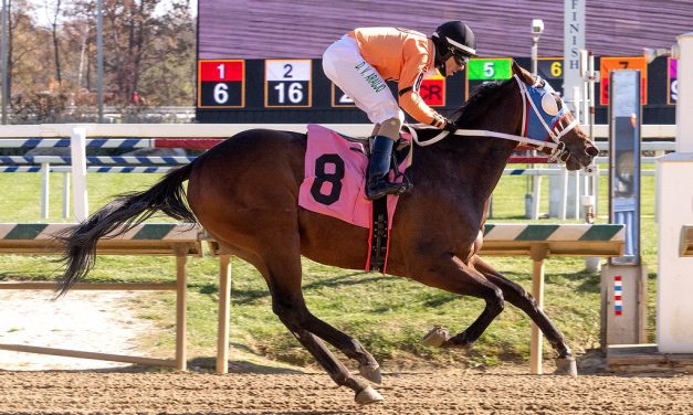 Inglis Digital February sale underway