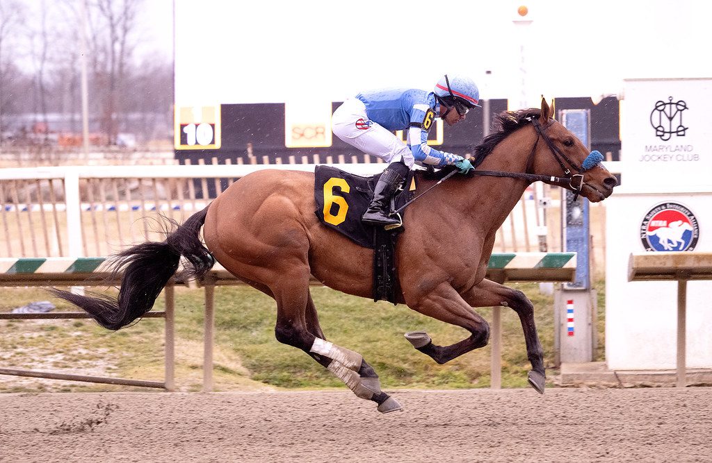 St. Jude scores in Laurel Park allowance feature