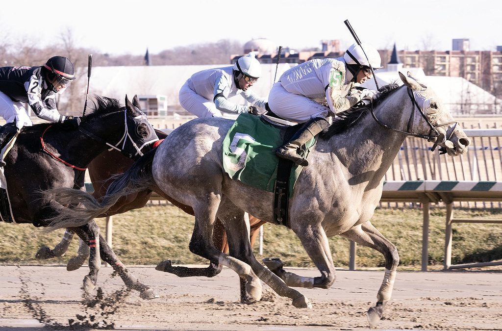 Laurel: Paradise Valley rallies to feature triumph