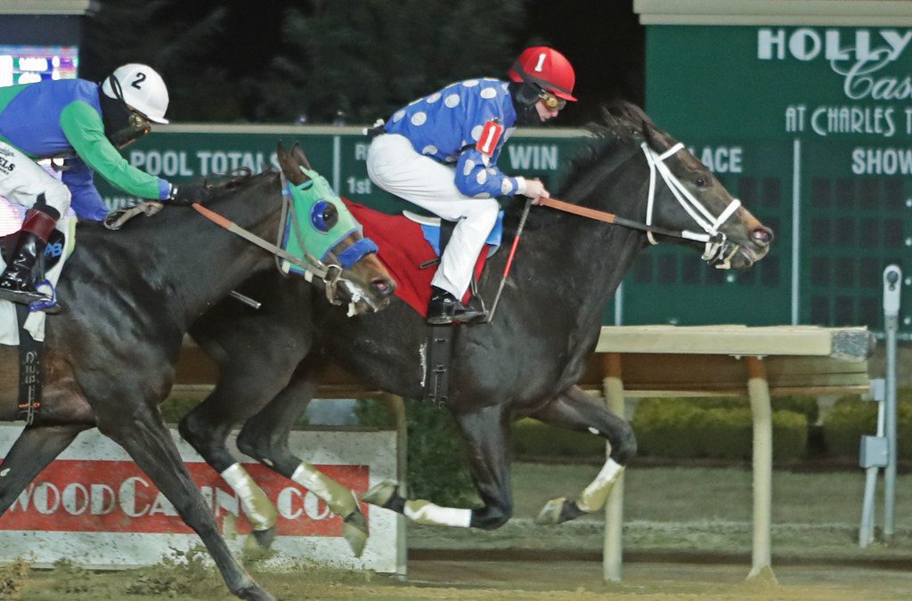 CT: Moonlit Notion favored in Coin Collector