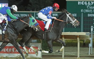 CT: Moonlit Notion favored in Coin Collector